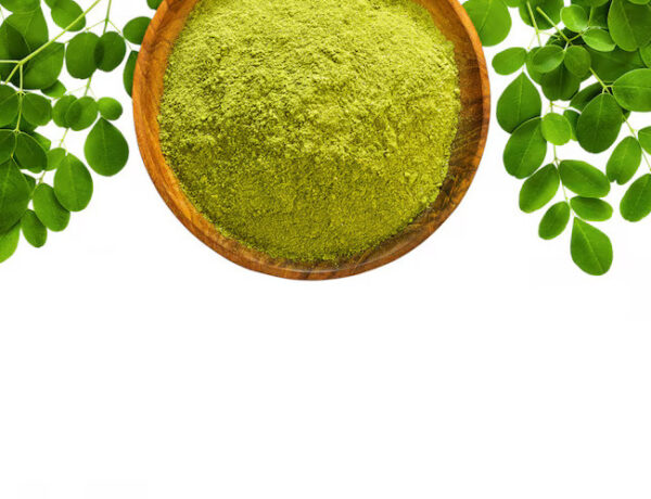 Pure Moringa Leaves Powder (munagaku podi) – Boost Energy & Immunity